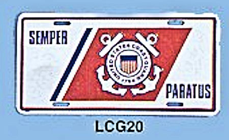 Coast Guard Auxiliary Blue Strip Flightsuit Patch